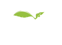 Since 2014 bananaleaf white Since 2014 bananaleaf white